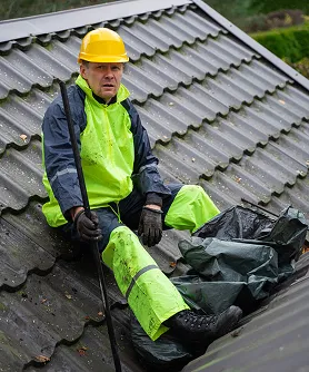 Roof Cleaning