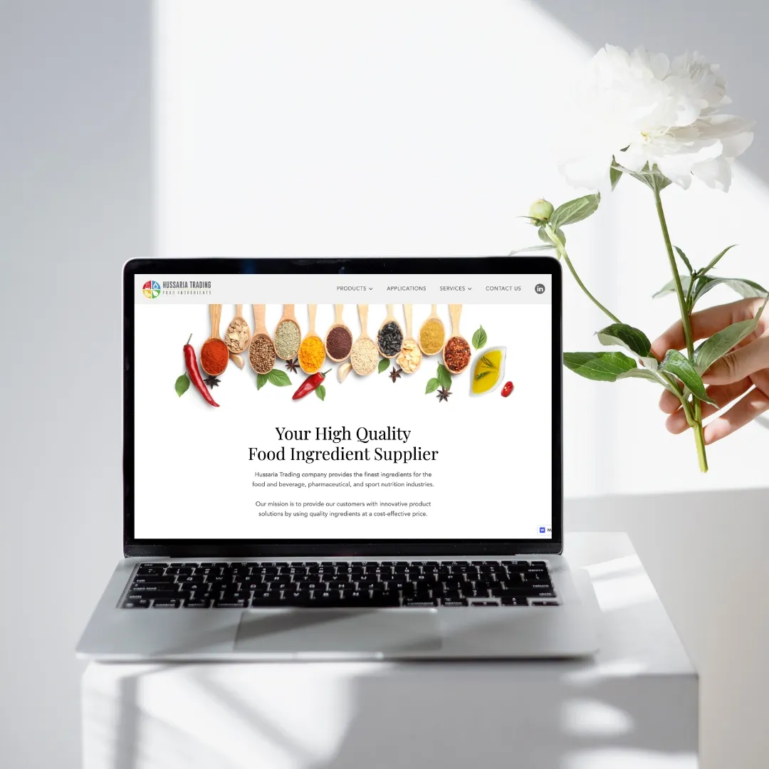 Screenshot of Hussaria trading's homepage mockup designed by Joseph Potential