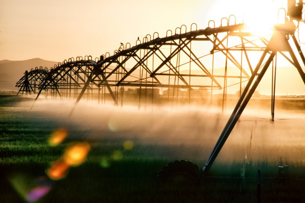 Features image of center pivot sprinkler at twilight.