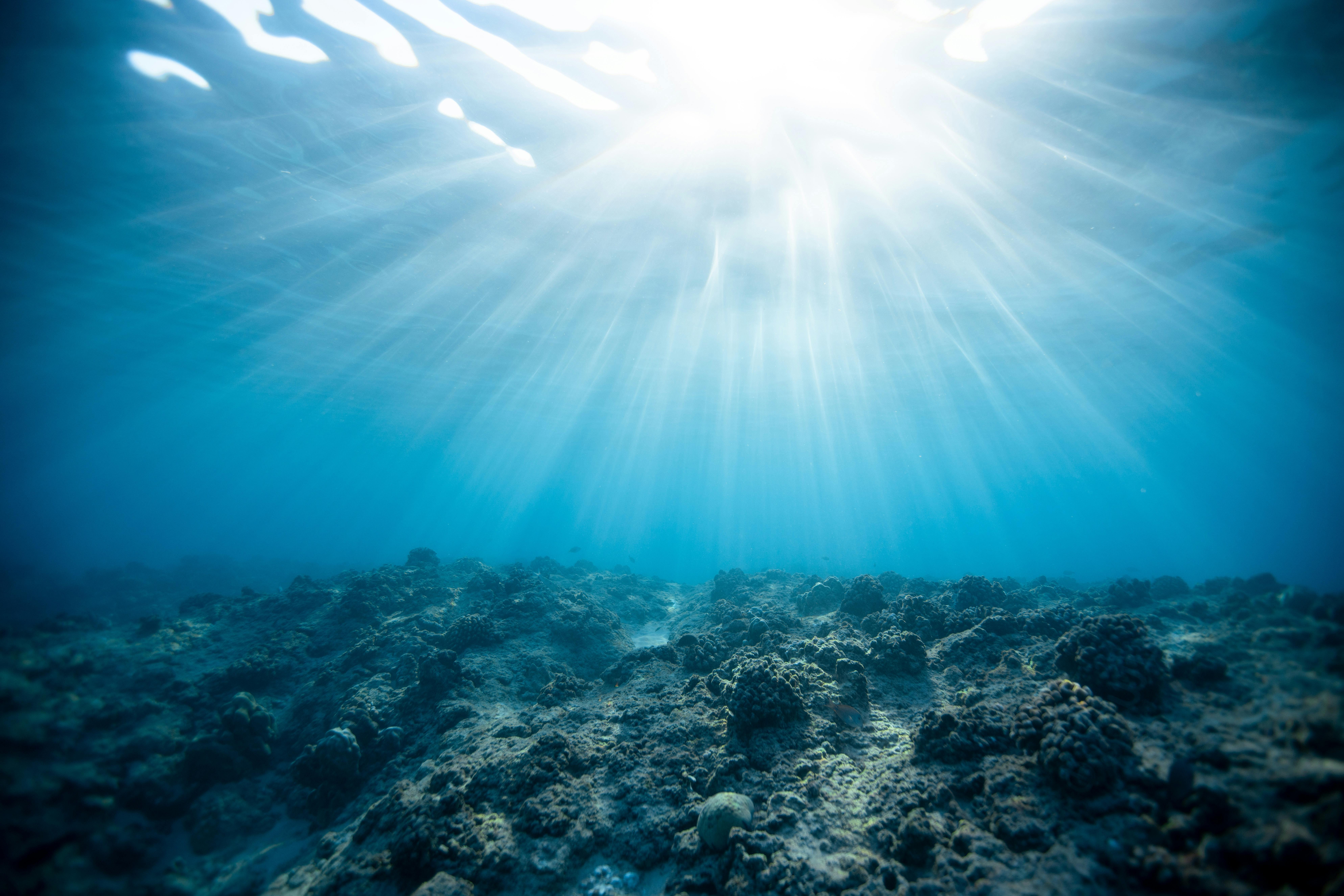How to Surf a Reef Break Without Getting Wrecked
