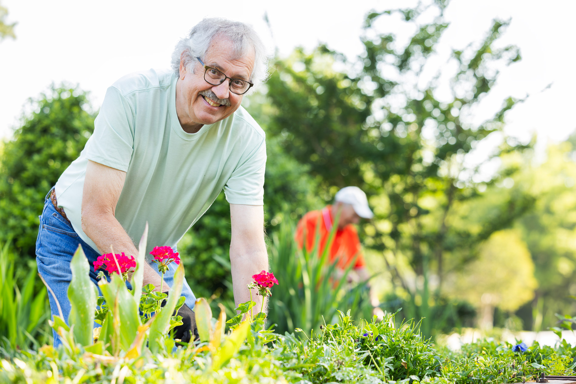 An older man tends to a garden, smiling as he works among the flowers.