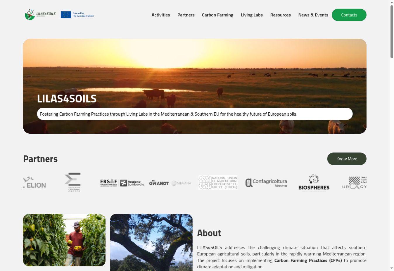 lilas4soils website homepage