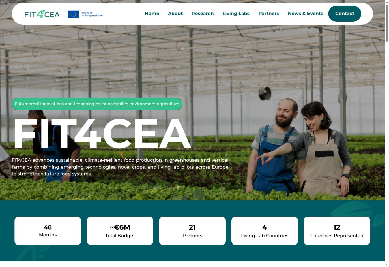 FIT4CEA — project website portfolio project
