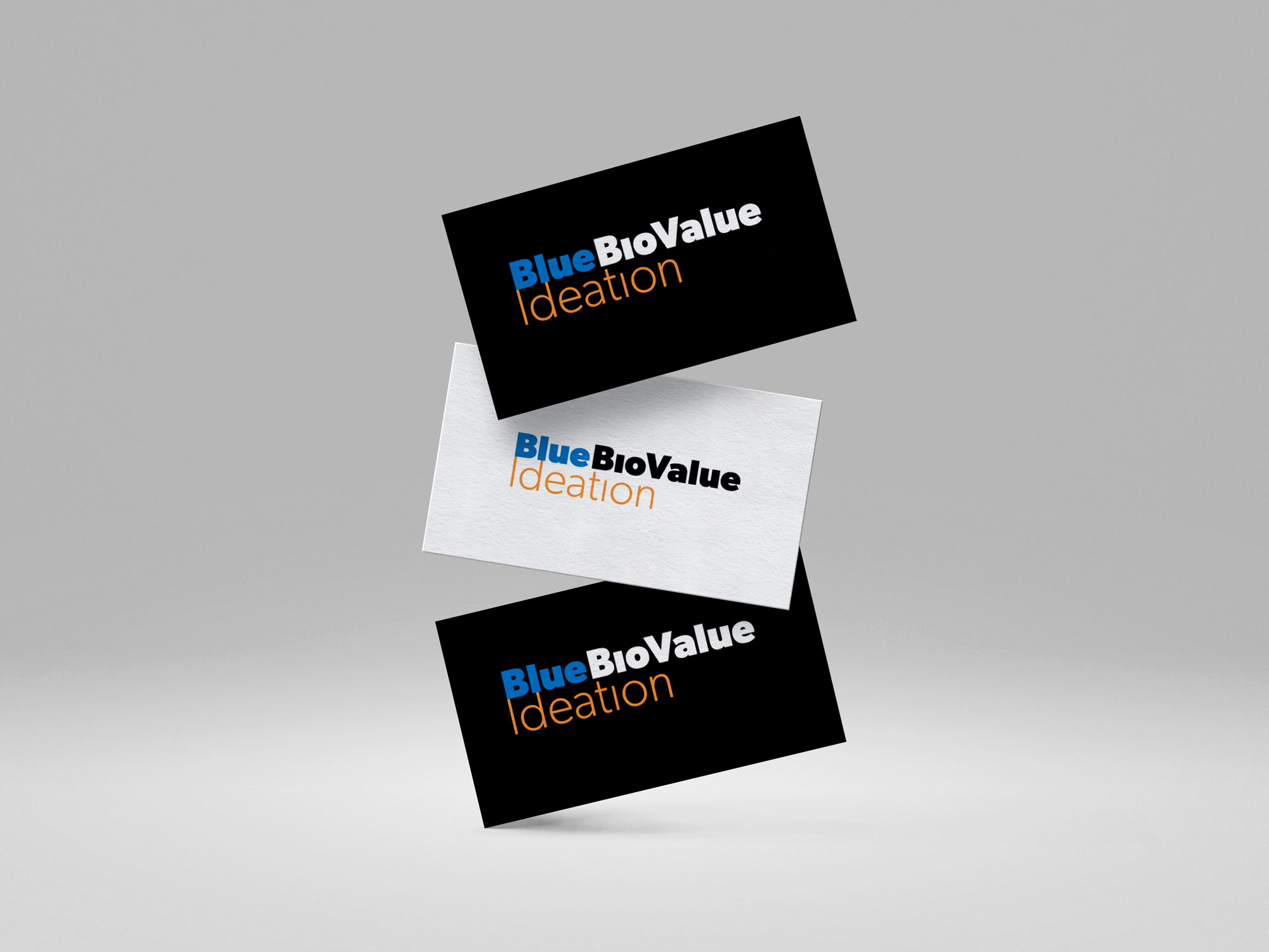 Blue Bio Value — event graphic design portfolio project