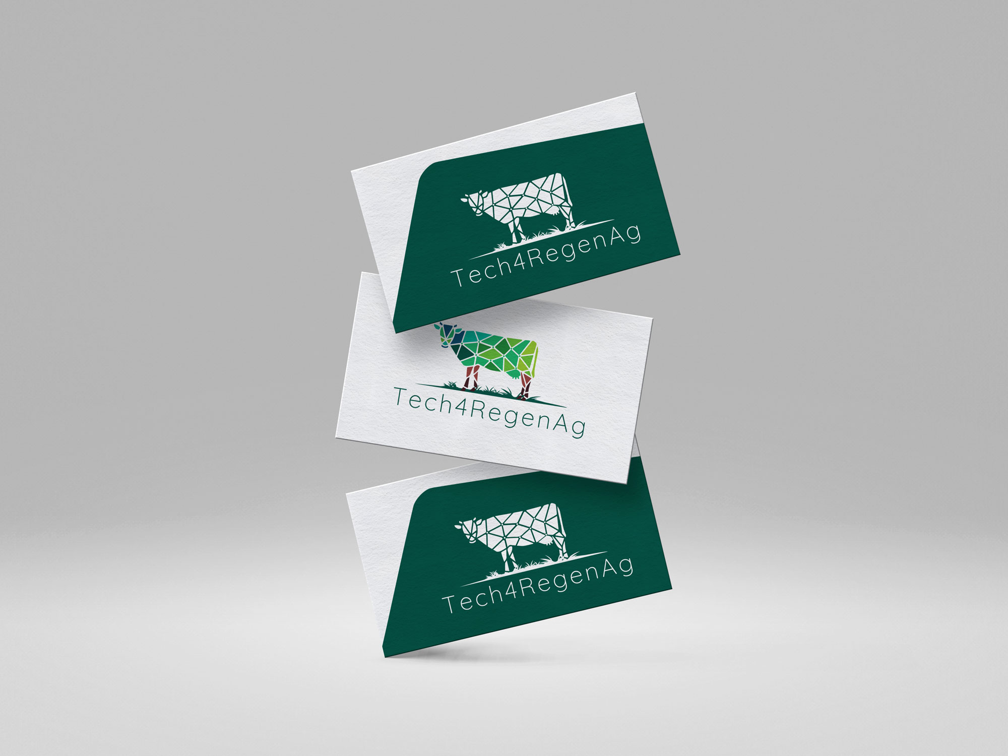 Tech4RegenAg — logo and visual identity portfolio project