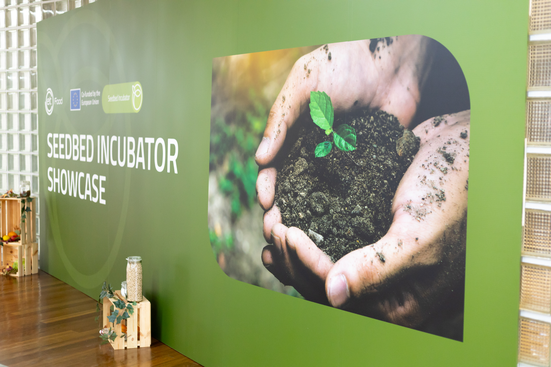 Seedbed Incubator — design project gallery