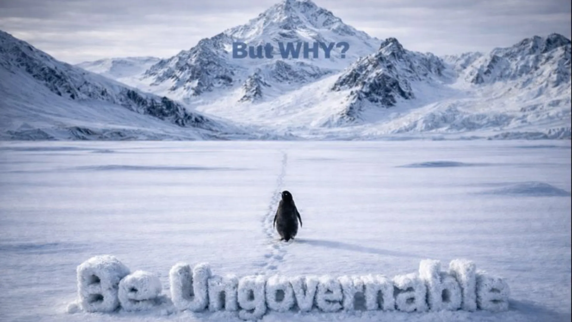 Nihilist Penguin Meme Explained Why Viral Clip Resonates