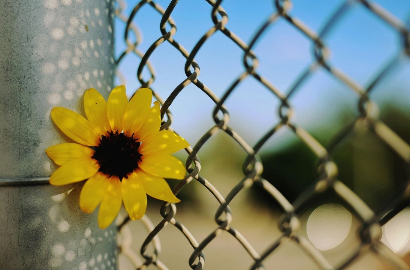 Fence Company of Columbus installer performing chain link fence installation in Hilliard, OH with precise post setting. Chain Link Fence Installation Near Me.