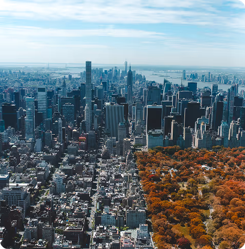 Aerial view of a large city skyline next to a park with autumn-colored trees.