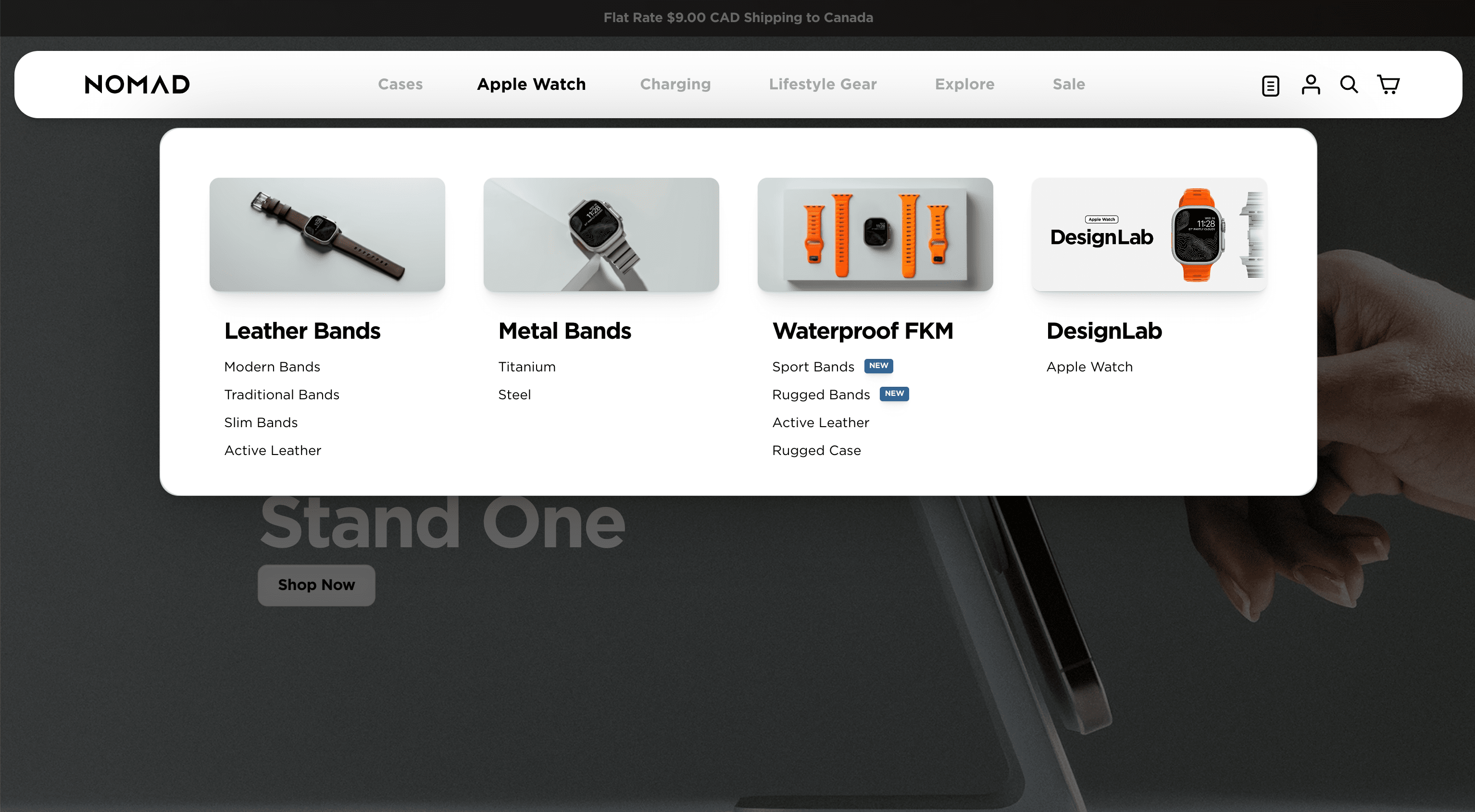 NomadGoods - A well-organized, visually appealing website with great navigation design would enhance usability.