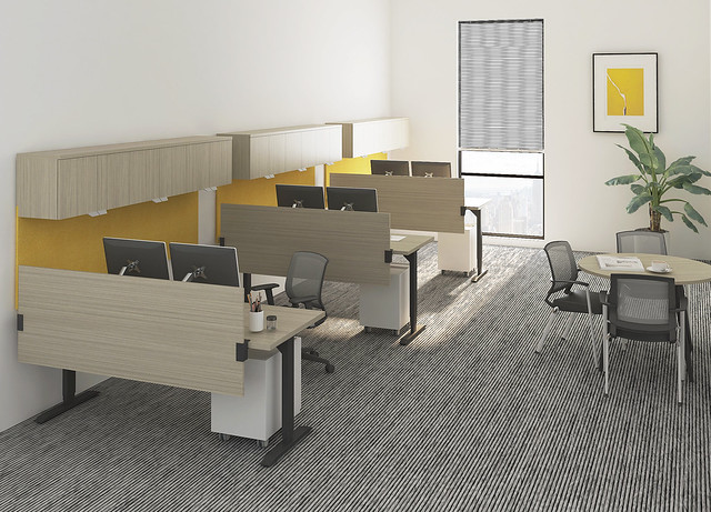 Friant benching workstations with yellow accent panels and privacy screens