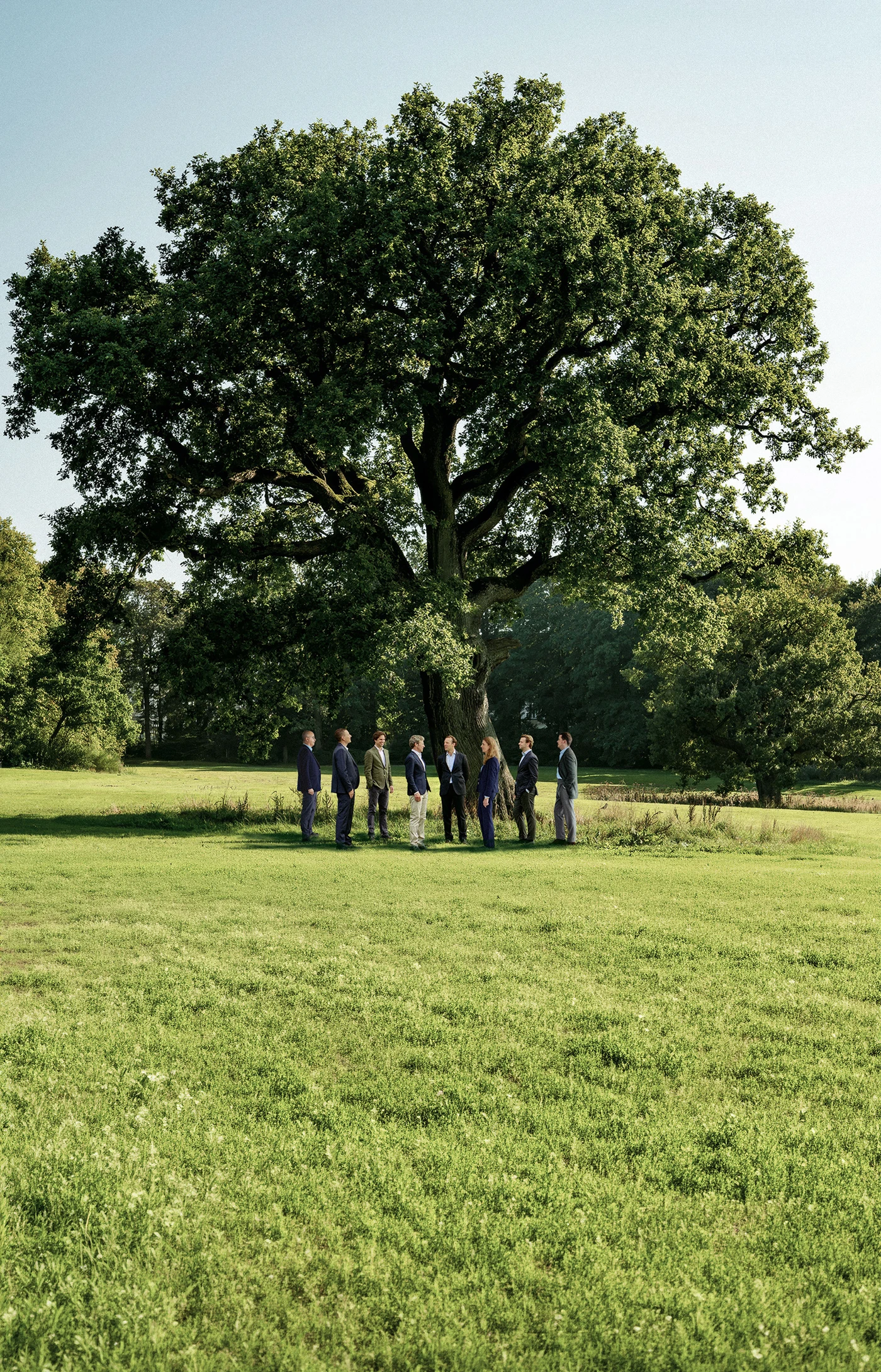 Team von Companion Unternehmenskapital steht gemeinsam vor einer Eiche bei Abendsonne.