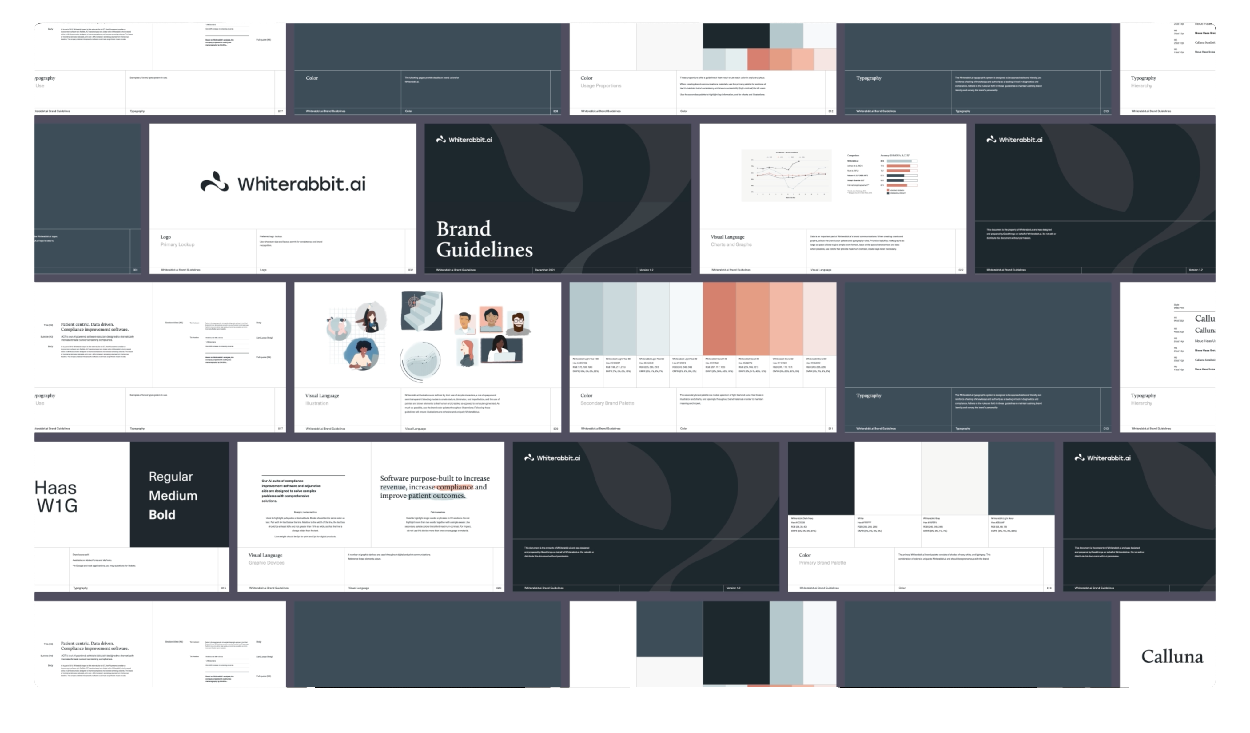 Collage of slides from Whiterabbit.ai brand guidelines, showing logo, typography, color palettes, visual language illustrations, charts, and software purpose statement.