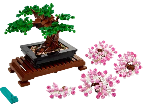 Bonsai Tree