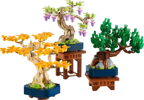 Mini Bonsai Trees