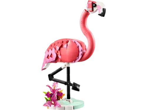 Wild Animals: Pink Flamingo
