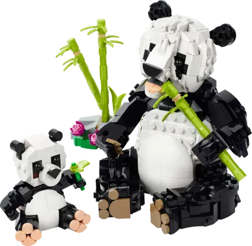 Wild Animals: Panda Family