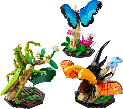 The Insect Collection