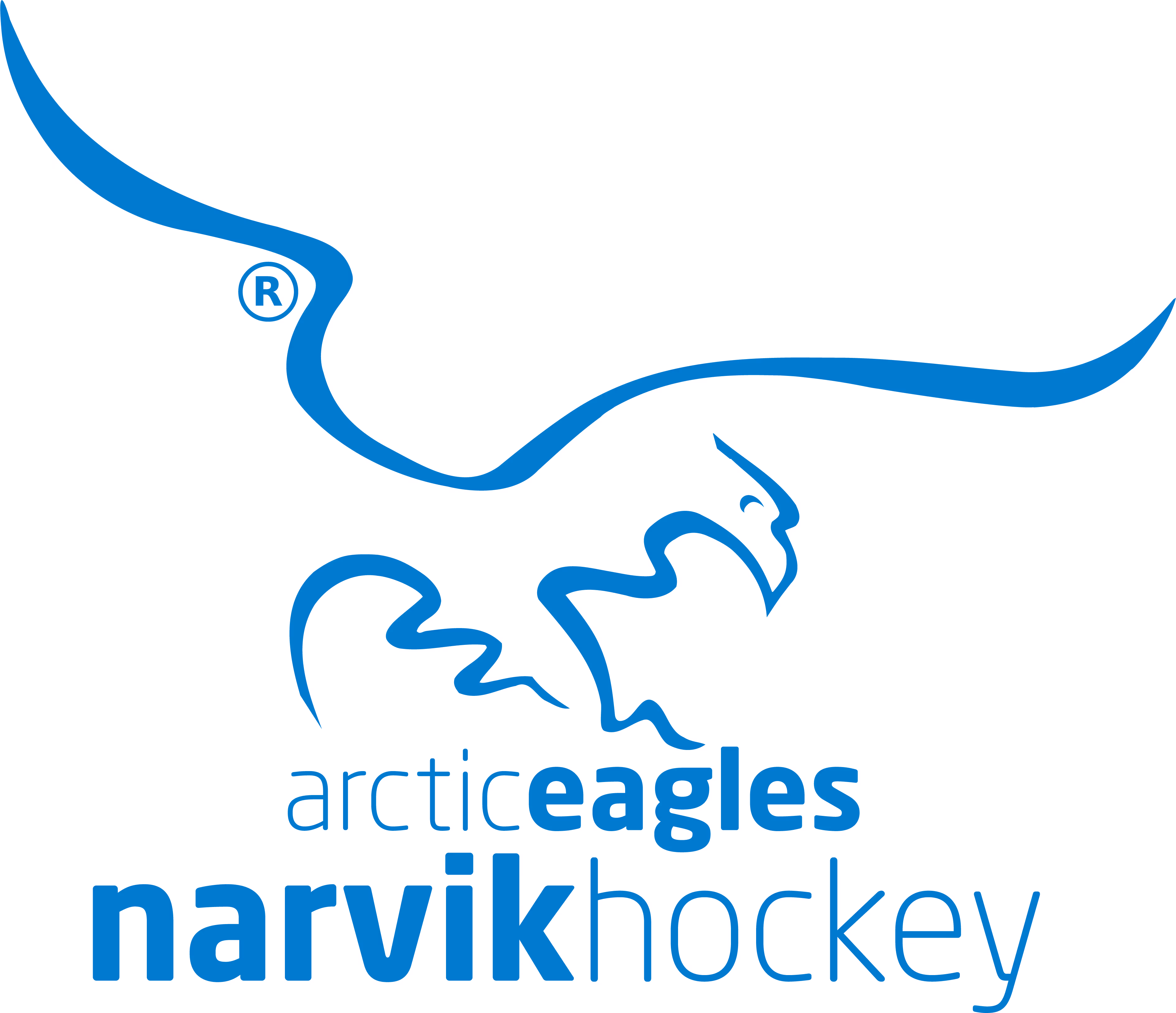 Arctic eagles logo