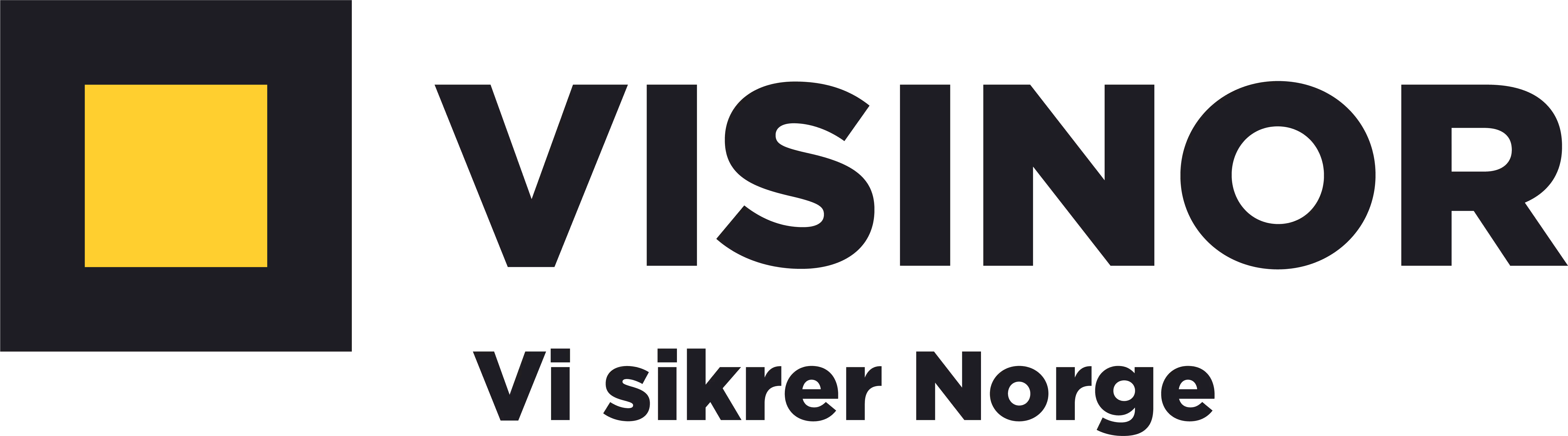Visinor logo