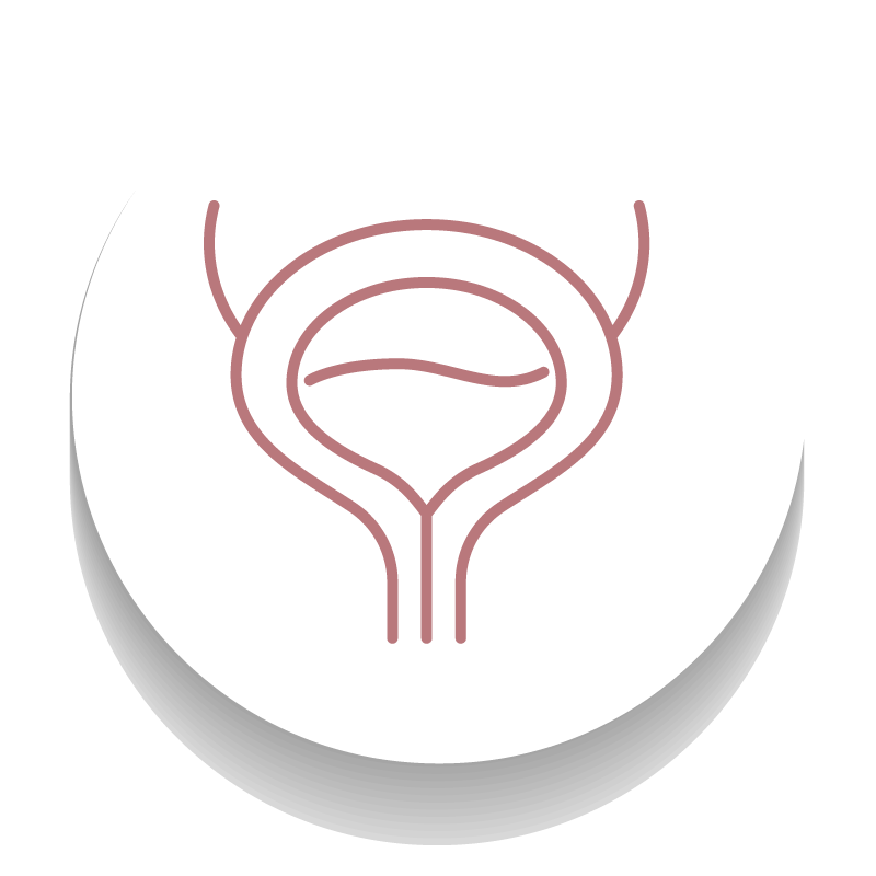 Bladder Concerns