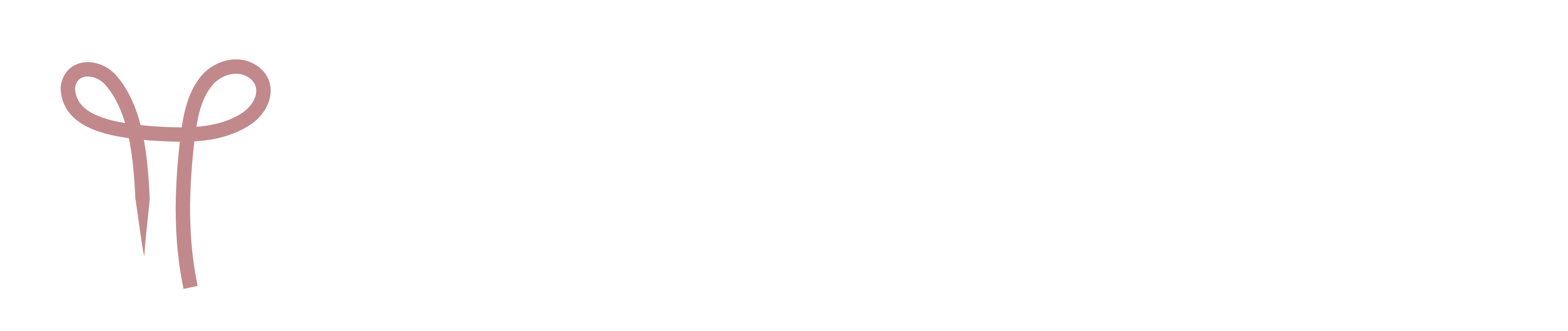 Dr Stacey Davie Logo