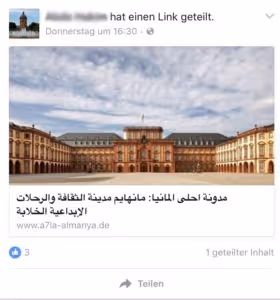Facebook Fake Likes