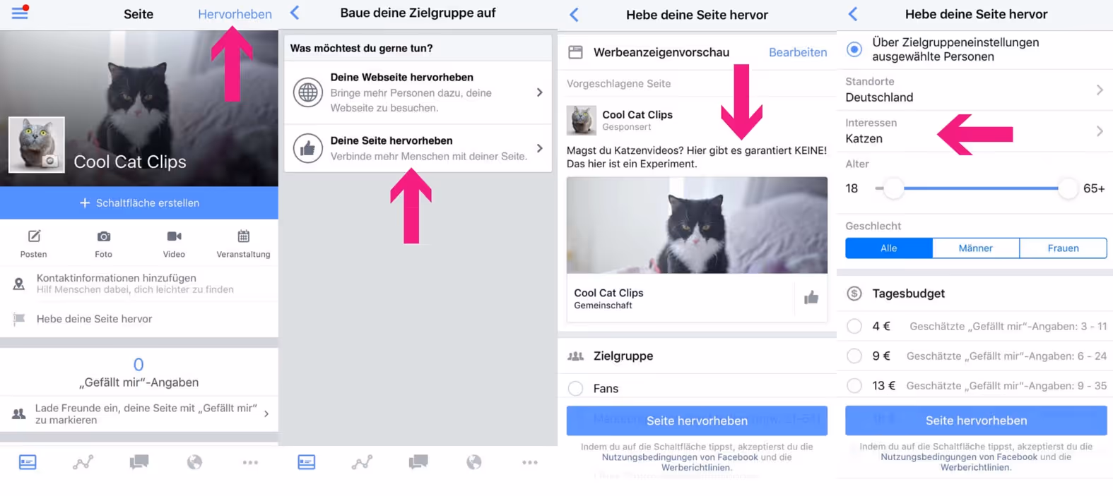 Facebook Fake Likes