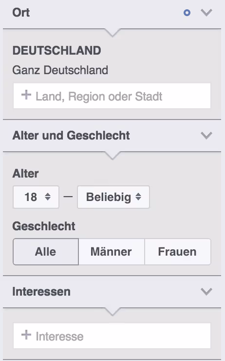 Facebook Audience Insights