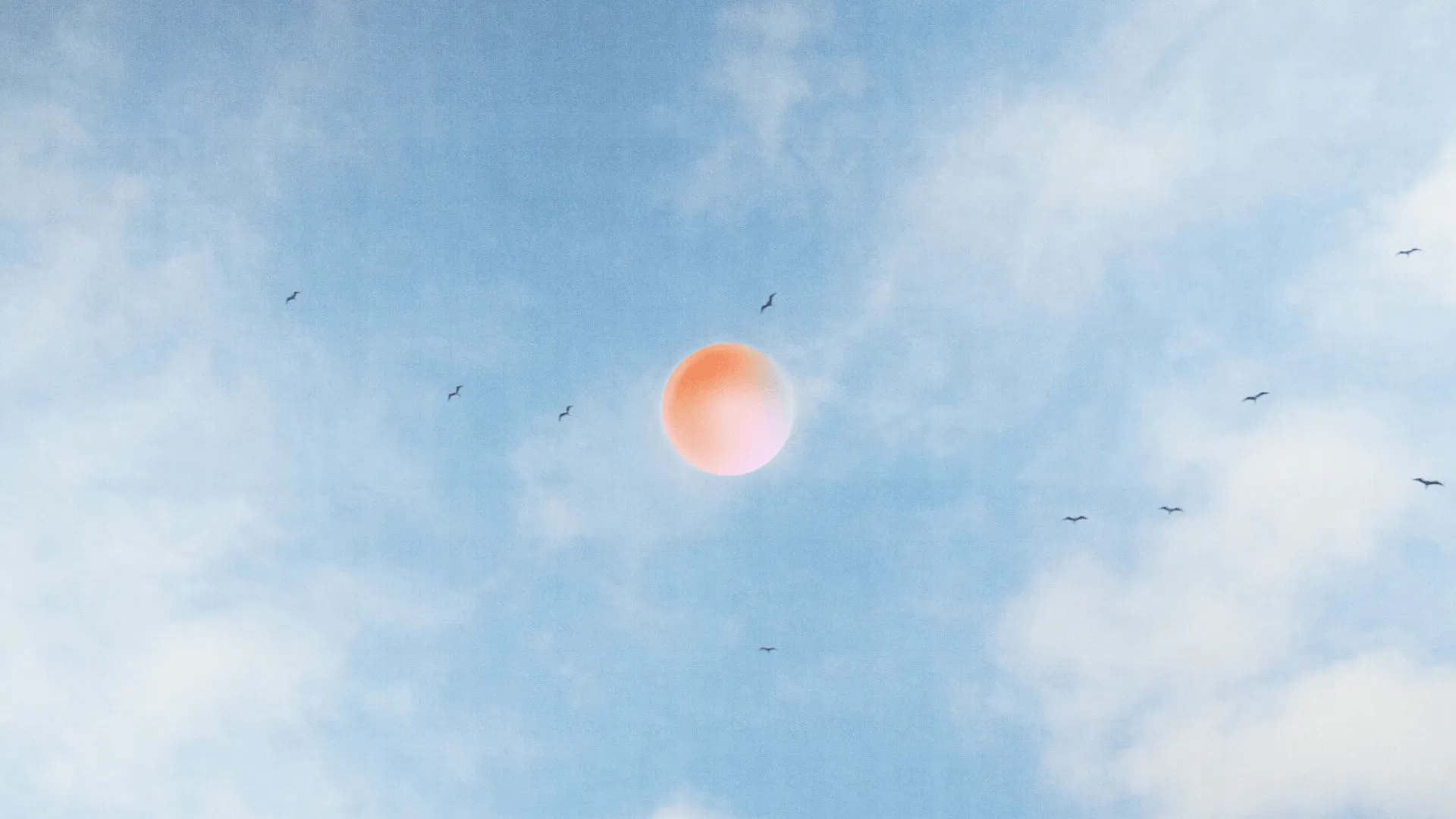 Plan d'ambiance du teaser Mon Devis Facile montrant un soleil en dégradé corail dans un ciel bleu nuageux avec des oiseaux.