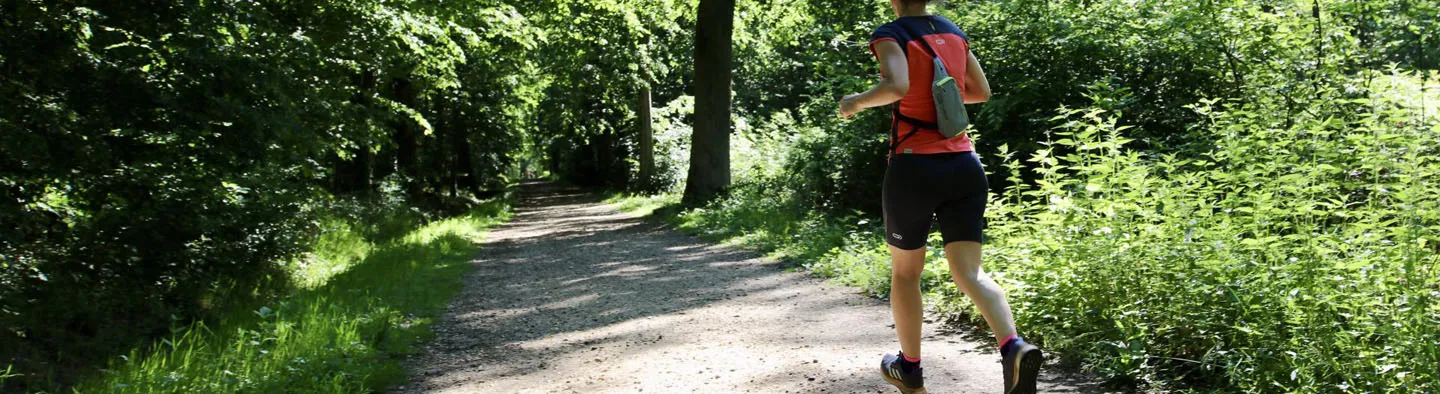 Espaces naturels et randonnées à portée de train