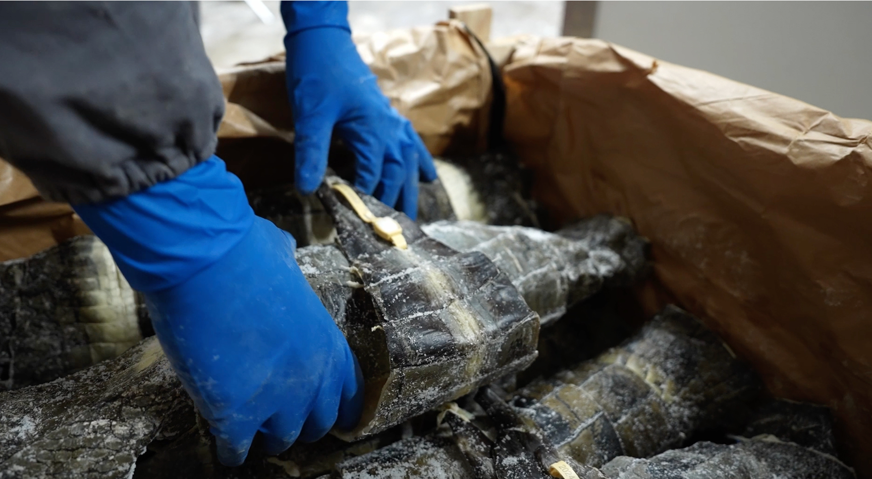 A person wearing blue gloves is lifting a large frozen item from a box lined with brown paper. The box contains several similarly packaged items, all covered in ice.