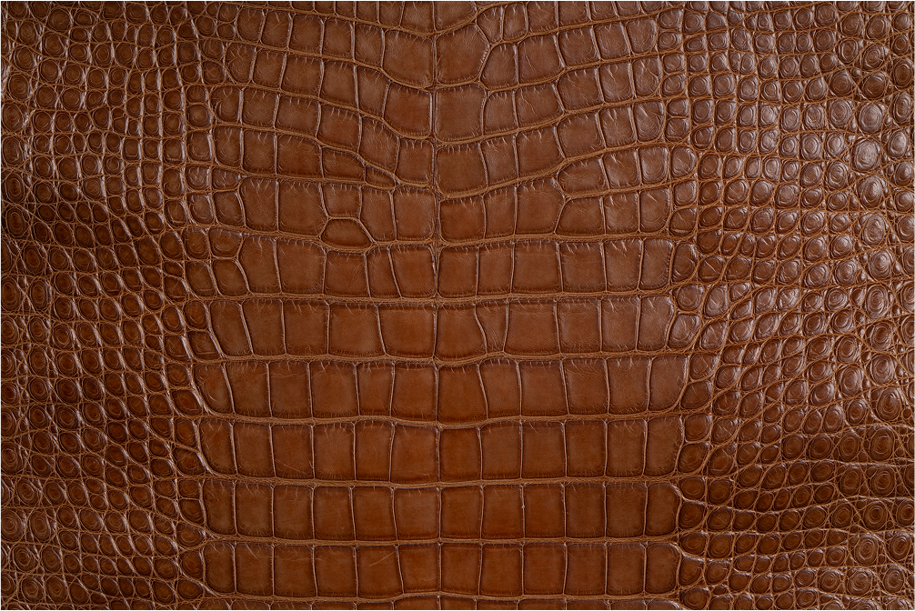 A close-up view of brown leather with a crocodile skin pattern, showcasing the texture and intricate details of the raised scales.