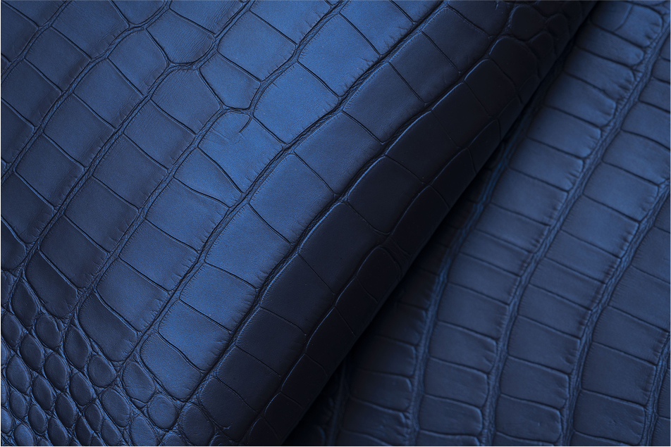 Close-up of dark blue crocodile-embossed leather, showcasing the textured pattern and sheen of the material.