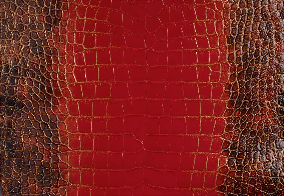 A close-up view of red crocodile leather, exhibiting a textured pattern with deep grooves and shine, showcasing the intricate details of the skin.