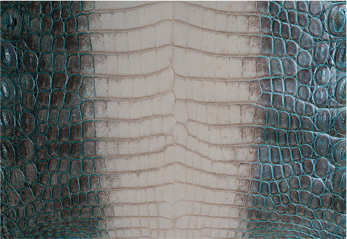 Close-up of a textured surface resembling reptile skin, featuring detailed scales with a mix of dark and light colors, showing the natural pattern and variations.