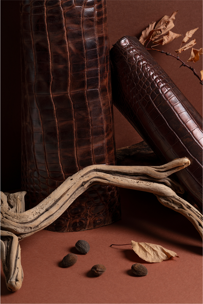 A close-up of two brown leather products with a crocodile texture, arranged beside a piece of driftwood, scattered acorns, and dried leaves on a brown surface.