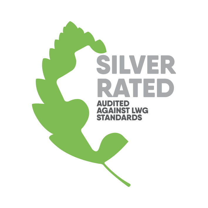 A graphic logo featuring a silver rating designation with the text 'SILVER RATED' in bold gray letters, accompanied by a green leaf design and the words 'AUDITED AGAINST W3C STANDARDS' below.