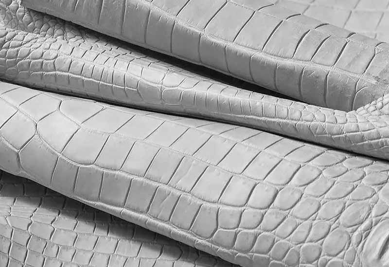 Close-up of light-colored crocodile or alligator leather with visible scales and texture.