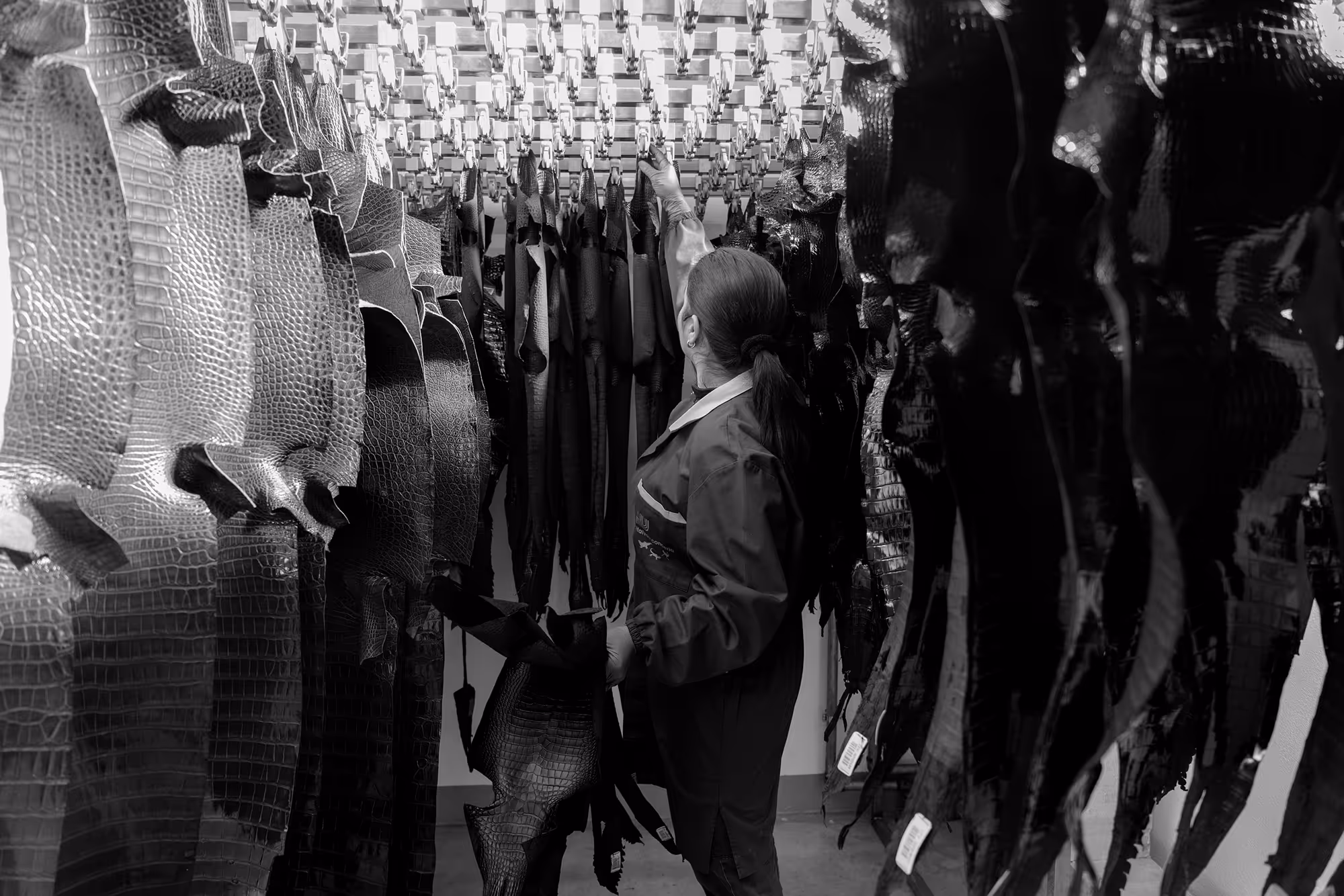 Person in work coat reaching up to hang or retrieve leather hides in a tannery with rows of reptile-patterned skins hanging.