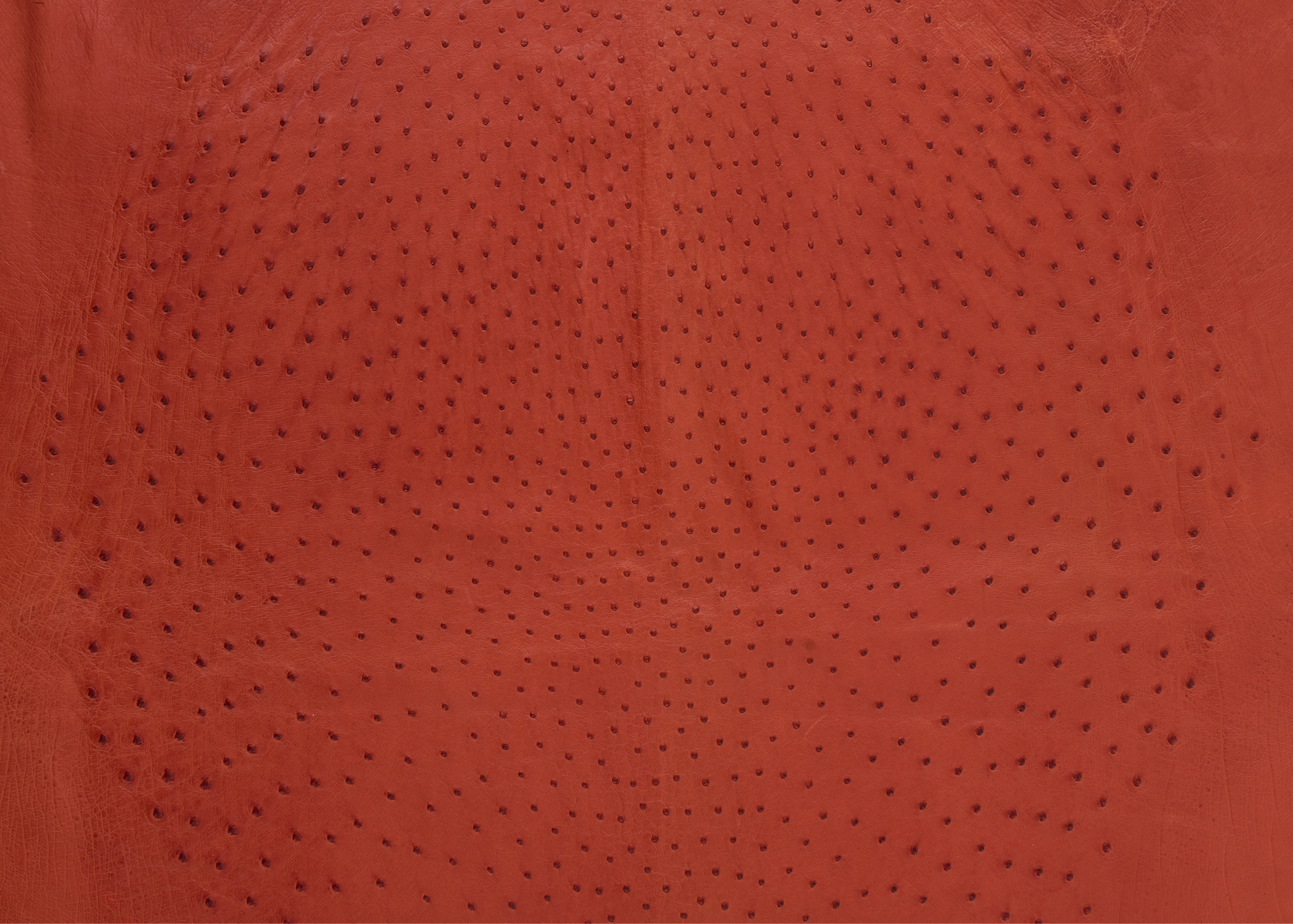 Three rolls of textured leather in varying colors: olive green, rich brown, and glossy black, showcasing the distinct patterns and finishes of each leather type.