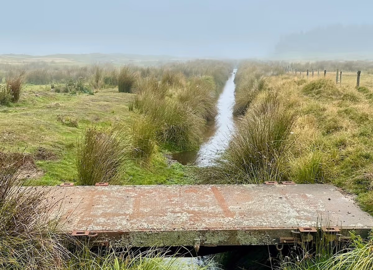 ein bild einer Brücke auf einem feld