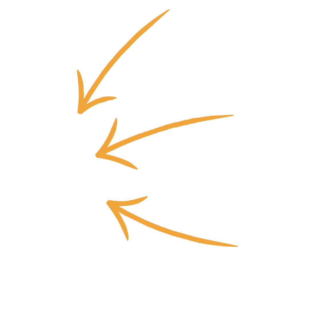 arrows
