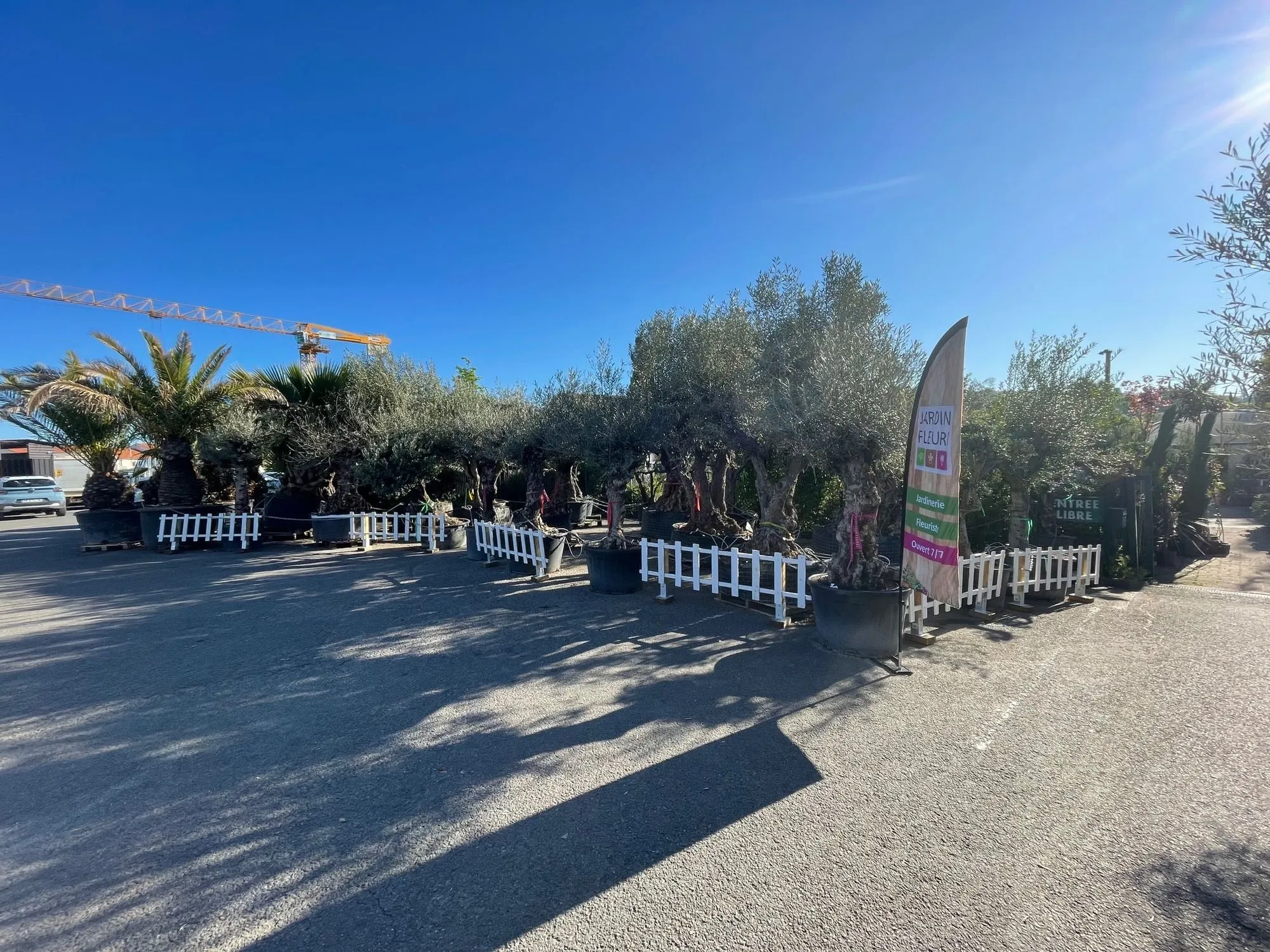 Entrée de la jardinerie avec oliviers, palmiers et panneau publicitaire Jardin Fleur.
