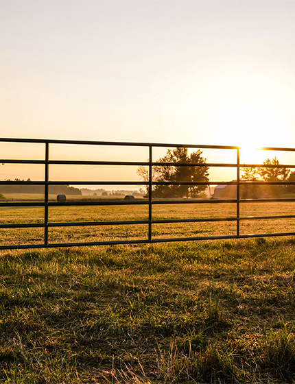 Livestock gate on an Ontario farm