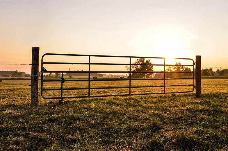 Farm gate and fencing panels in a paddock
