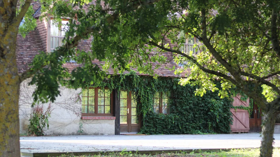 Maison en pierre avec façade partiellement recouverte de lierre vert et une terrasse, entourée d'arbres feuillus.
