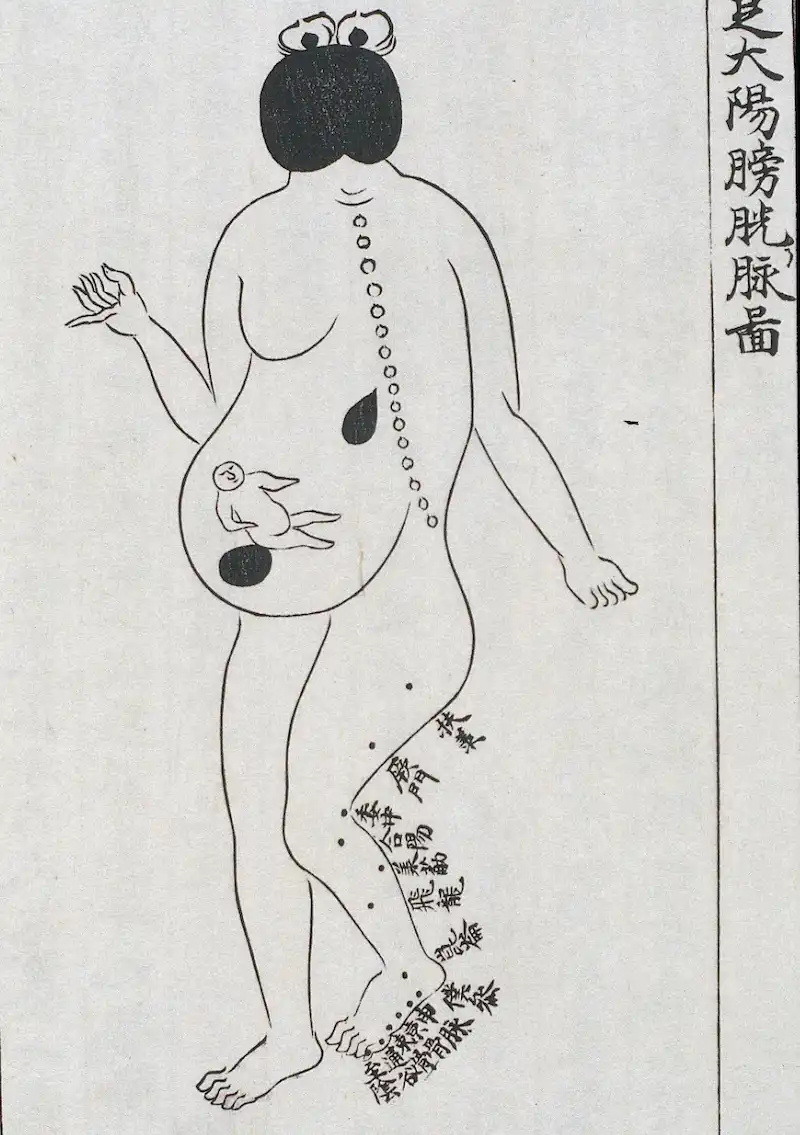 Dessin de femme enceinte