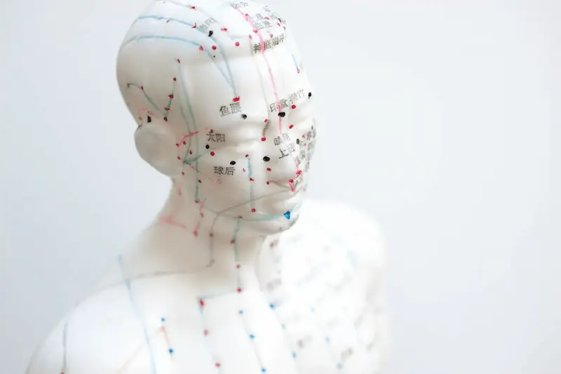 Mannequin d'acupuncture