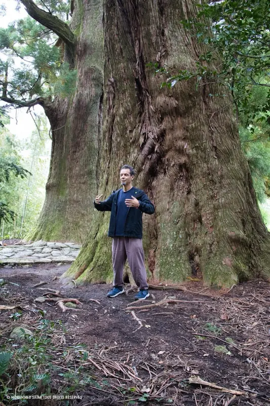Portrait de Mohammed Saïah : 40 ans d'expérience, en posture de l'arbre cultivant l'alchimie taoïste